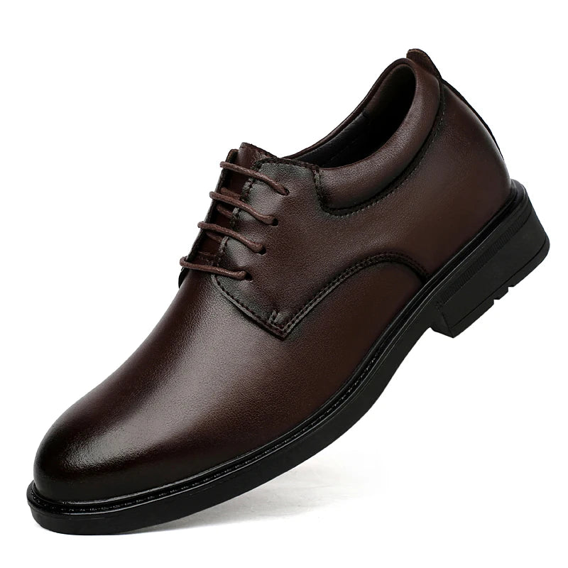 GALLANT- 6cm