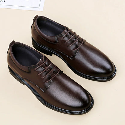 GALLANT- 6cm