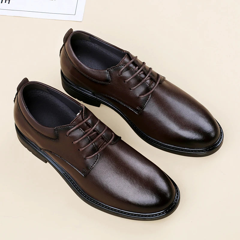 GALLANT- 6cm
